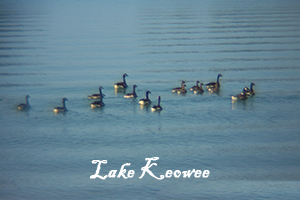 Lake Keowee
